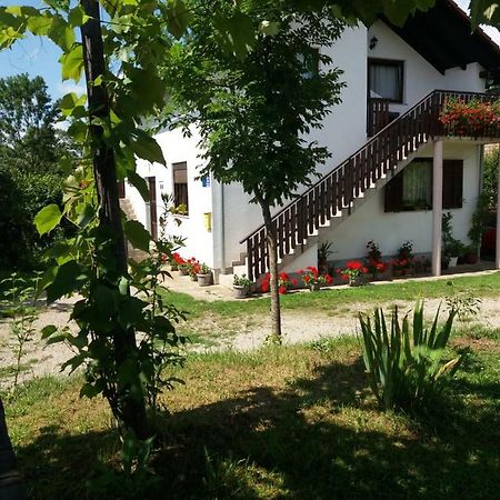 Apartment Manda Раковица Экстерьер фото